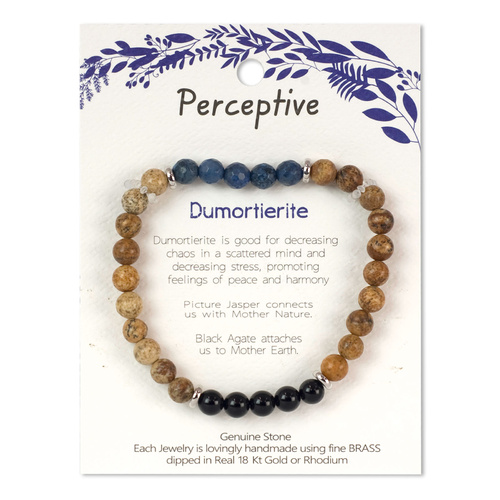 Beautiful Wellness Bracelet Picture Jasper With Perceptive Dumoritierite Stone