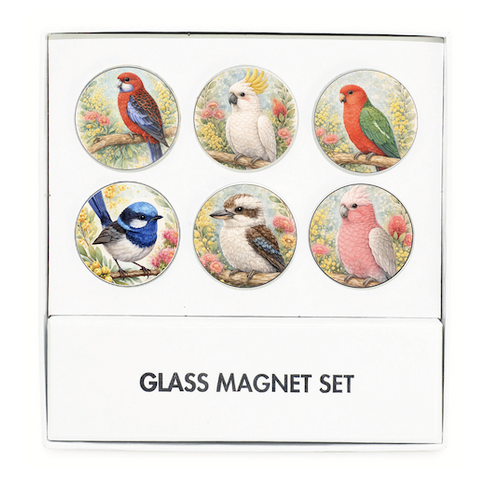 Native birds magnet set of 6