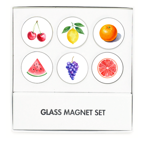 Fruit Fun Fridge Magnet set of 6